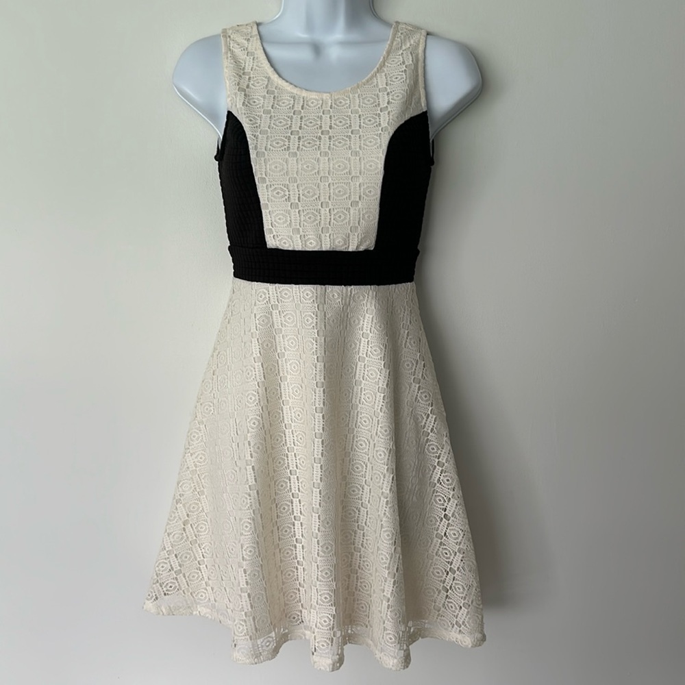 Beautiful lace skater dress